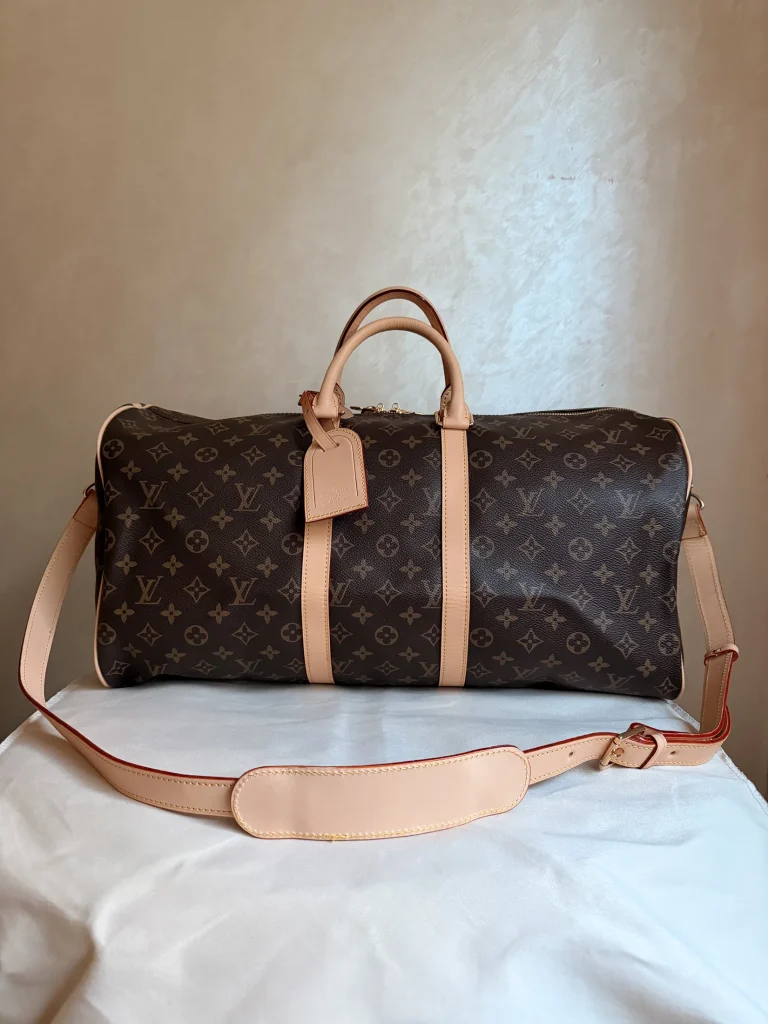 louis vuitton pre-owned handbag